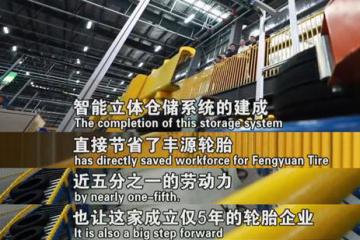 中鼎集成助力輪胎企業(yè)進(jìn)入 “智造時(shí)代”