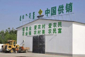 供銷社概念股強(qiáng)勢漲停，消費(fèi)股集體大跌
