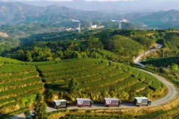 順豐深入原產(chǎn)地助力春茶香飄全國(guó)！