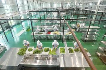 數字化轉型成功案例：“盒馬鮮生”營銷數字化轉型是這樣做的...