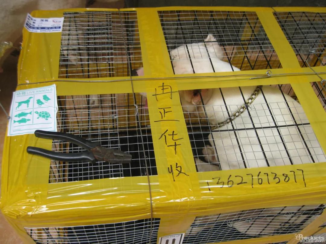微信圖片_20210406114926.jpg