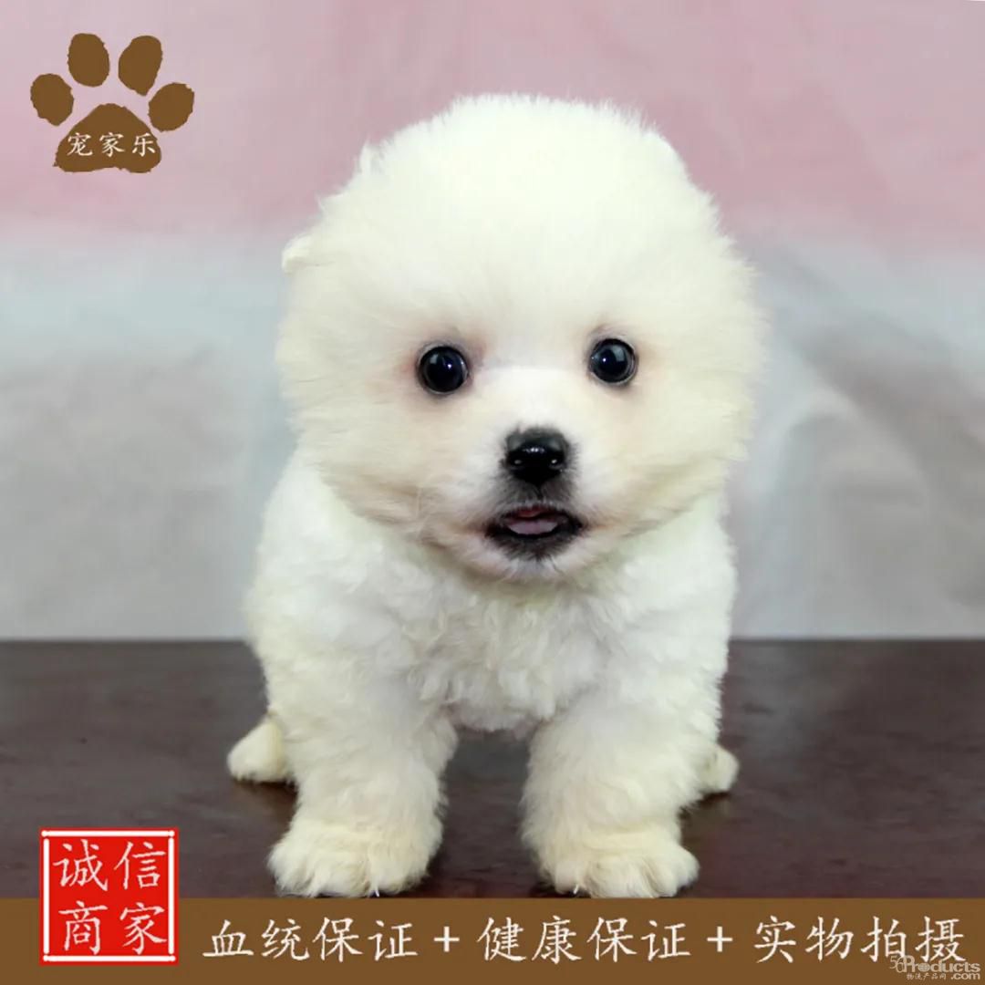 微信圖片_20210406114940.jpg